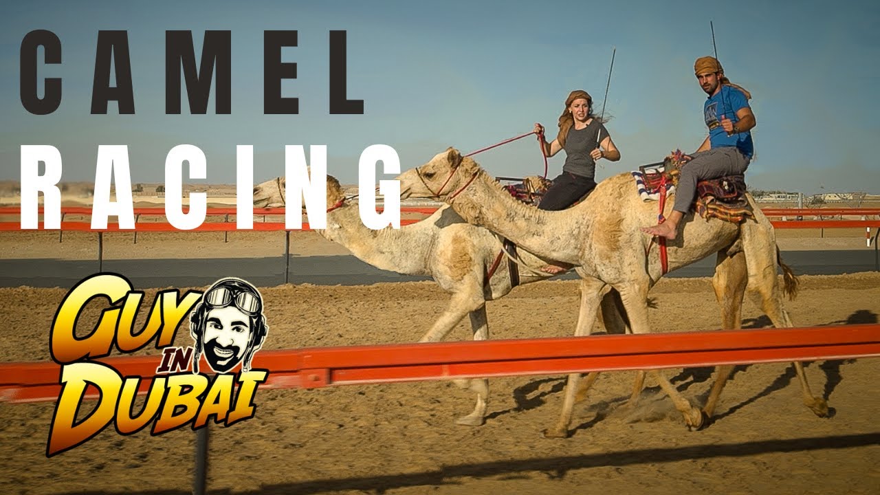 The Surprising World of Women’s Camel Racing in Dubai