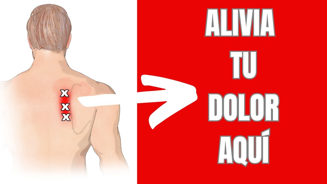 🛑Alivia El DOLOR de tu ESPALDA ALTA Rapidamente con 4 Ejercicios FÁCILES