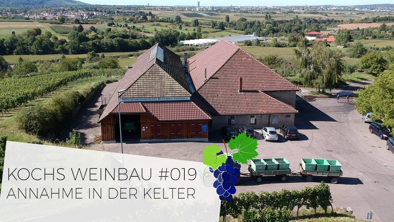 Annahme in der Kelter | #019