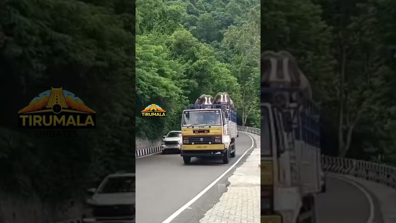 #tirumala_updates #tirumala elephants#tirumaladarshanam #tirumala #tirupati #tirupati