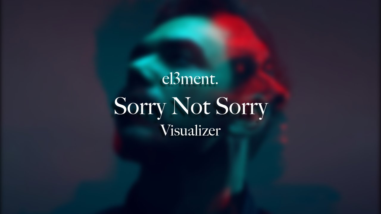 Sorry Not Sorry Visualizer