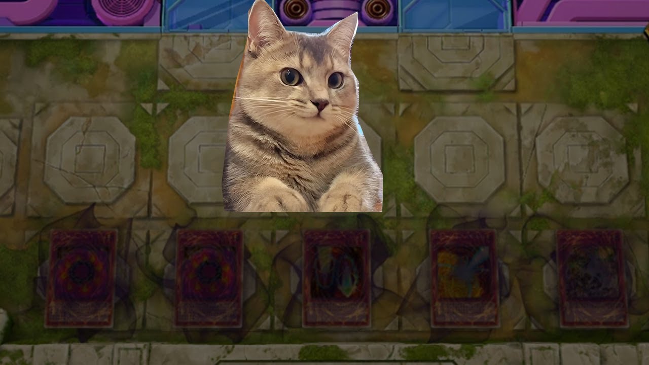 [Yu-Gi-Oh! Master Duel] No