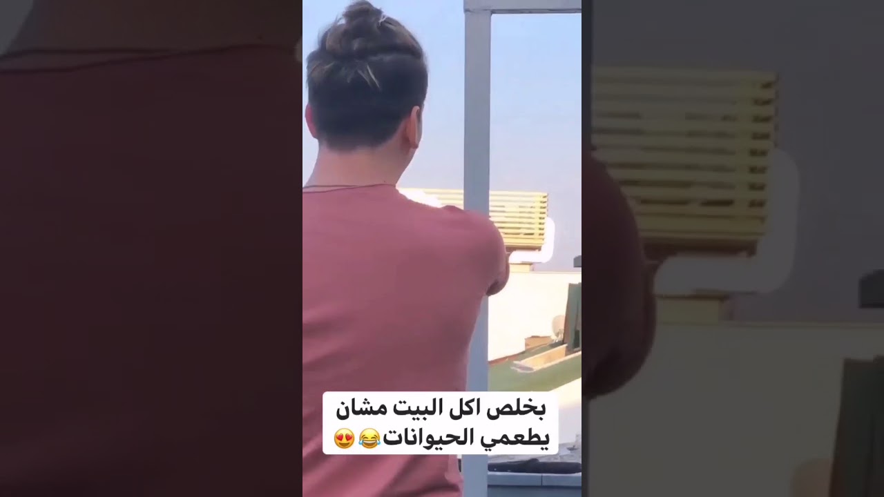 نورمار عم يطعم الطيور محمد اخو يقول خلص اكل البيت😂وايمو عم يجرب تبييض الوجه