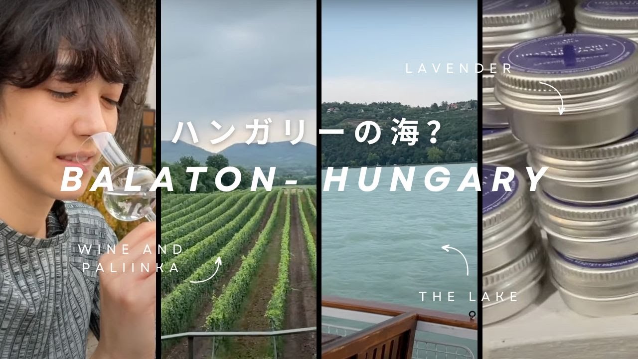ハンガリーのワイン・食・バラトン湖。ピクルス大国 | Hungary Travel pt2