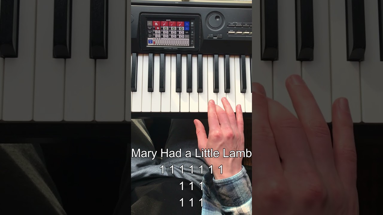 An Actually Realistic TikTok Tutorial