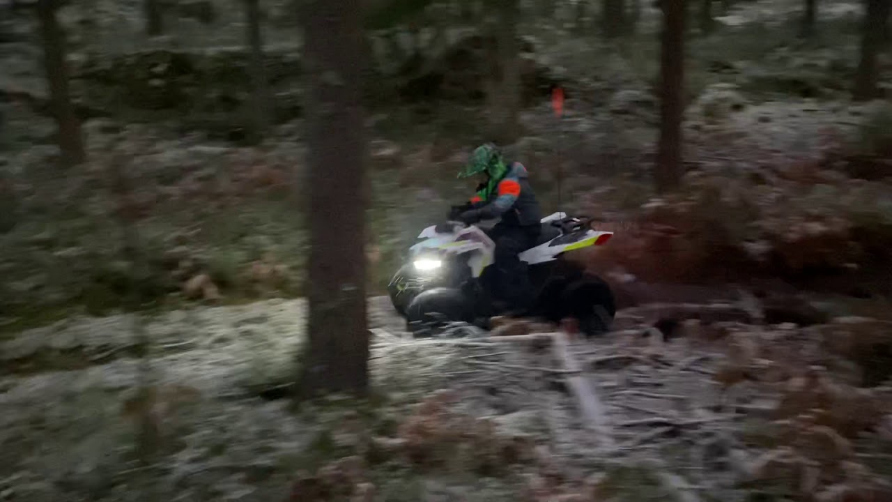 Amadeus & Caesar driving Outlaw 70 & Sportsman 110