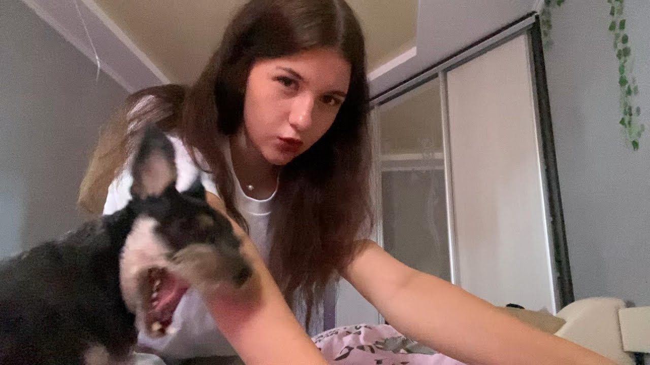 asmr массаж тебе