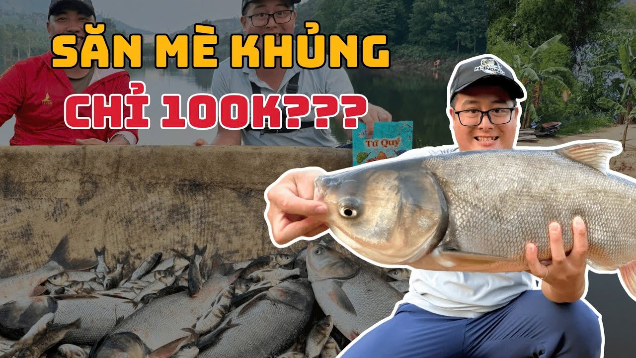 Một ngày câu cá mè khủng tại hồ Cường Đô - Thử nghiệm bài mồi câu cá mè mới - Ngọc Biển Fishing