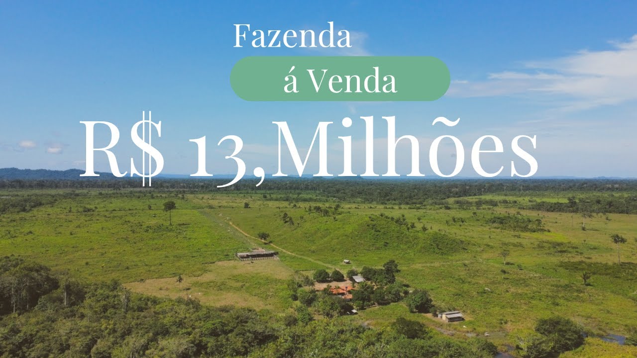 Fazenda 900 alqueires 200 alqueires de pasto em são Félix do Xingu Pá