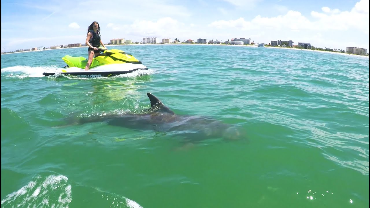 A Week in Siesta Key