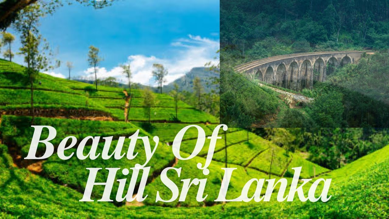 Exploring Sri Lanka's stunning Hill Country - Journey Journal