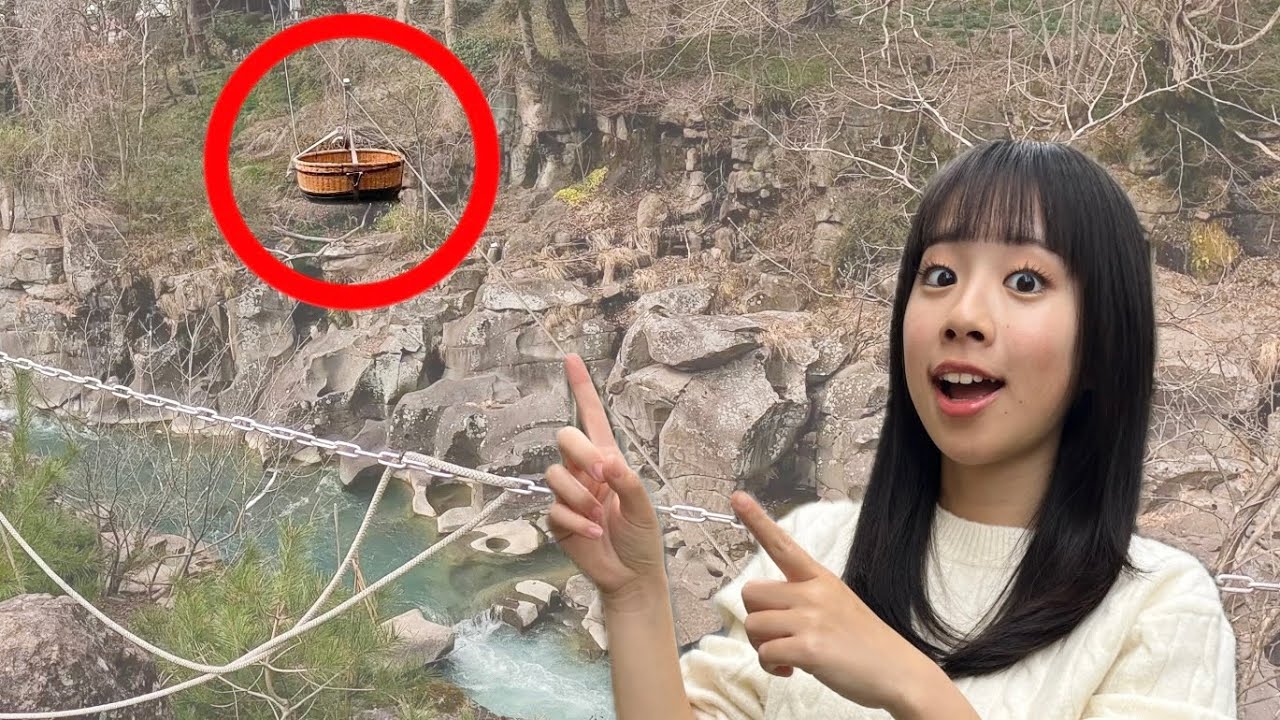 新幹線代0円の1人旅in岩手🚅