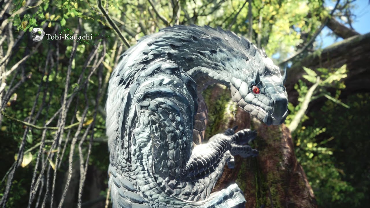 Monster Hunter World: Tobi-Kadachi Boss Fight #6 (Solo / Hammer)