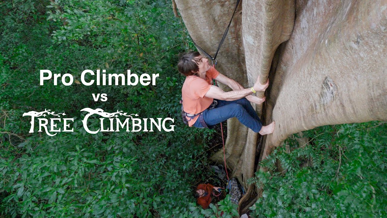 9b/5.15b Rock Climber vs Worlds Hardest Tree Climbs