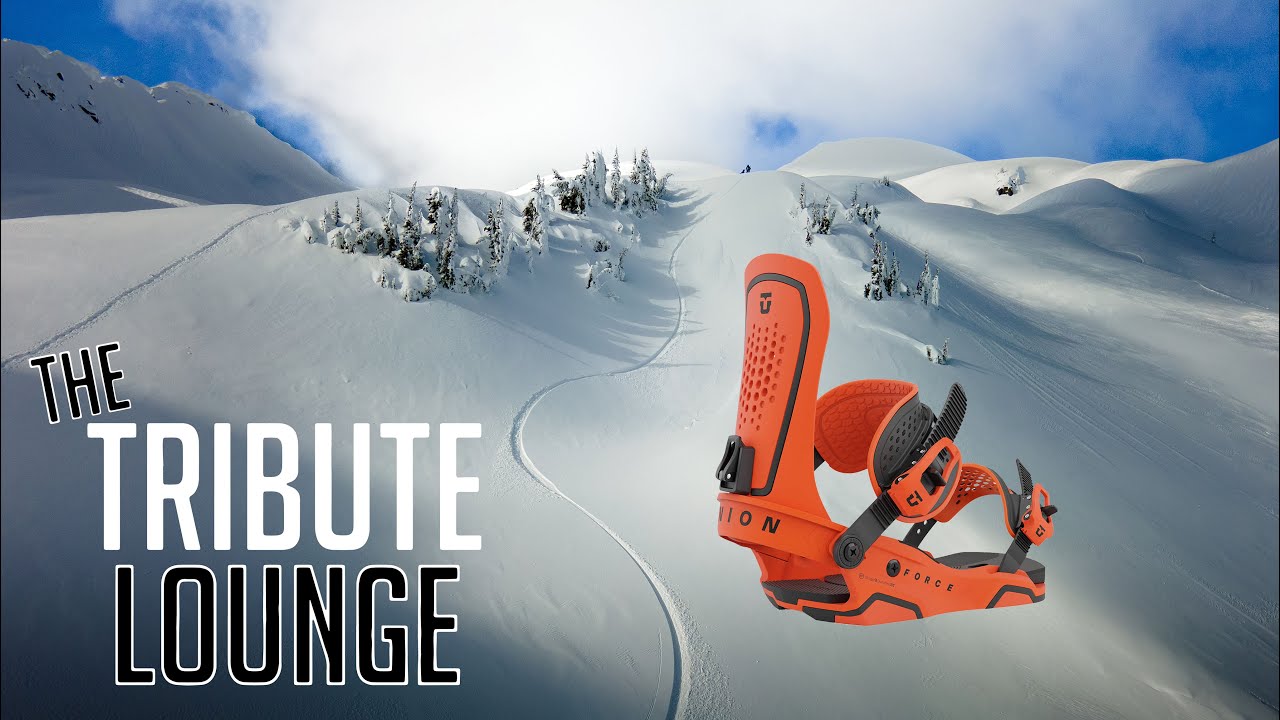 The New Union Force Binding & 2024 Union Overview ( All Models)