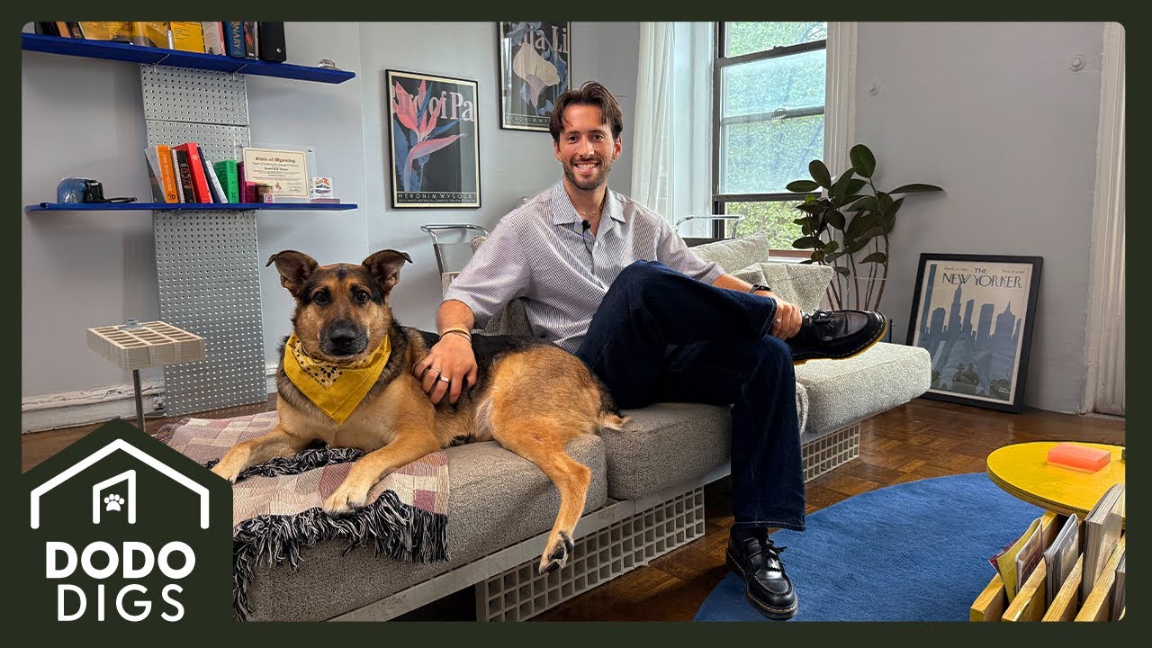 Architect Builds A Couch For His Dog | Dodo Digs