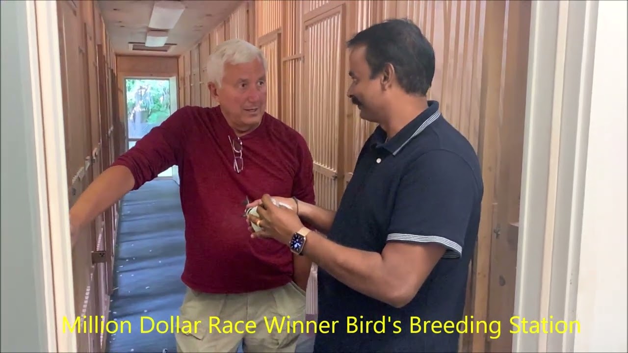 My visit to World No1 Racing Pigeon Loft - Ganus Family Loft - USA
