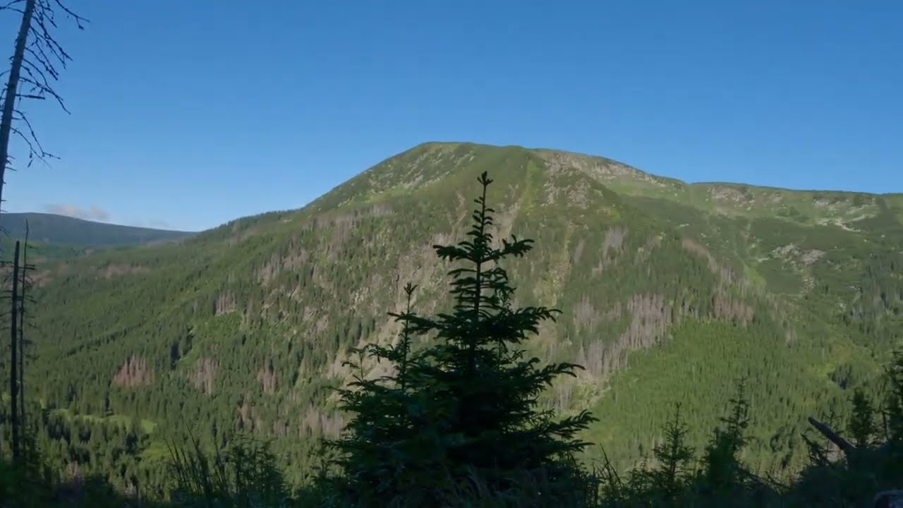 Obří důl – vrcholy Krkonoš – Špindl, červen 2025 / Obří důl – Krkonoše Peaks – Špindl, June 2025