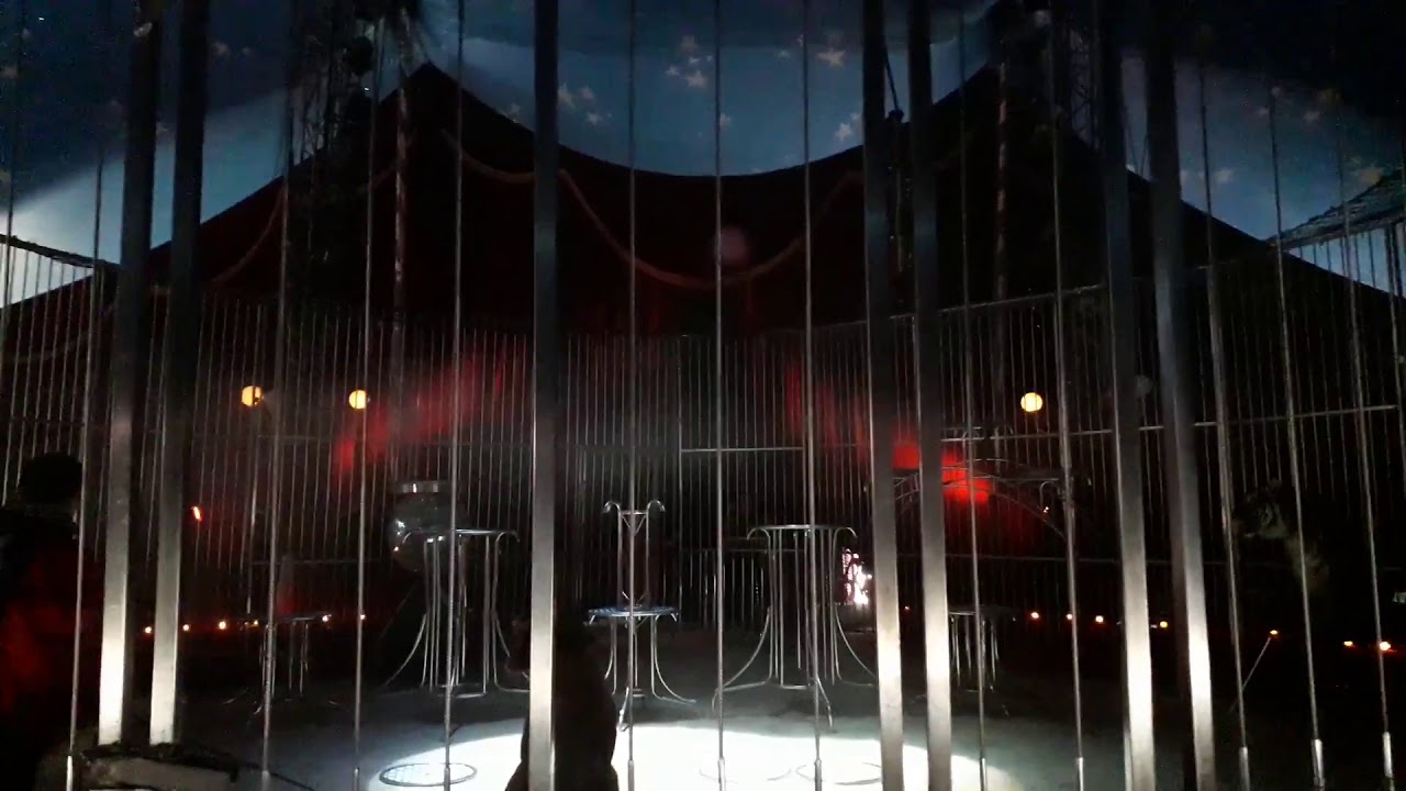Cirque de Venise - les Fauves de Even Landri