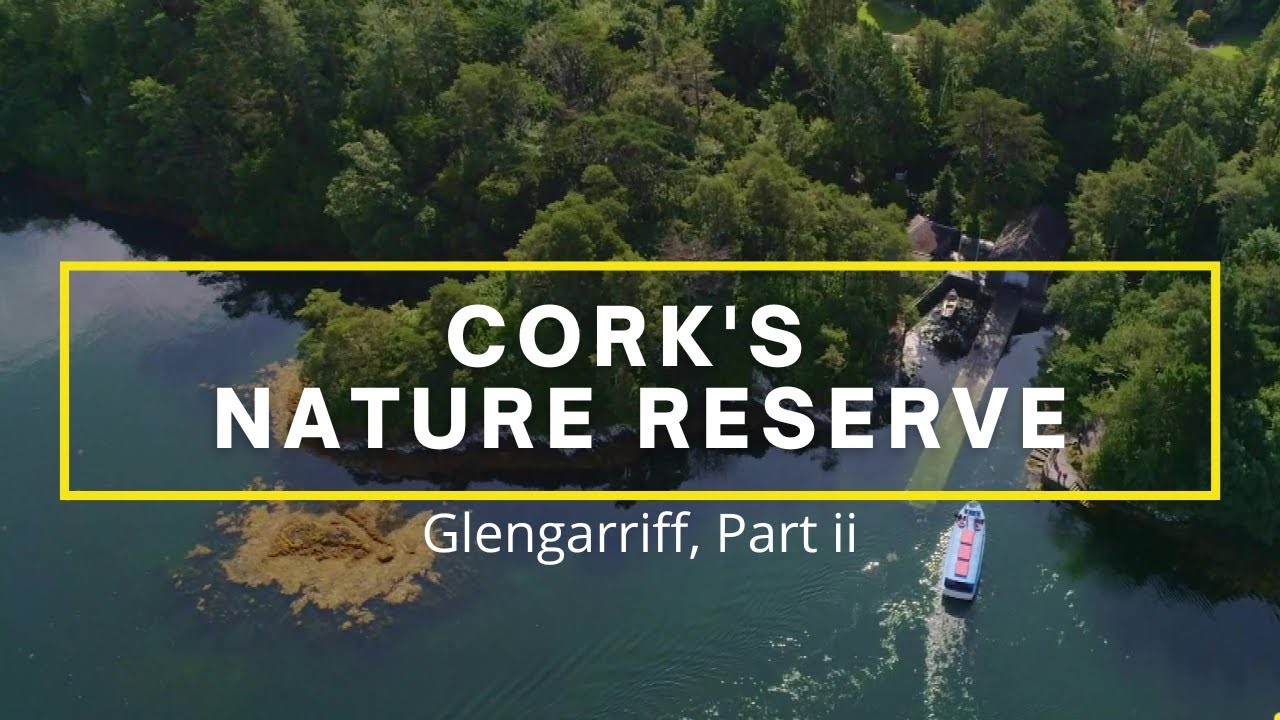 Cork's Nature Reserve Glengarriff Woods, part ii (full episode Tracks & Trails)