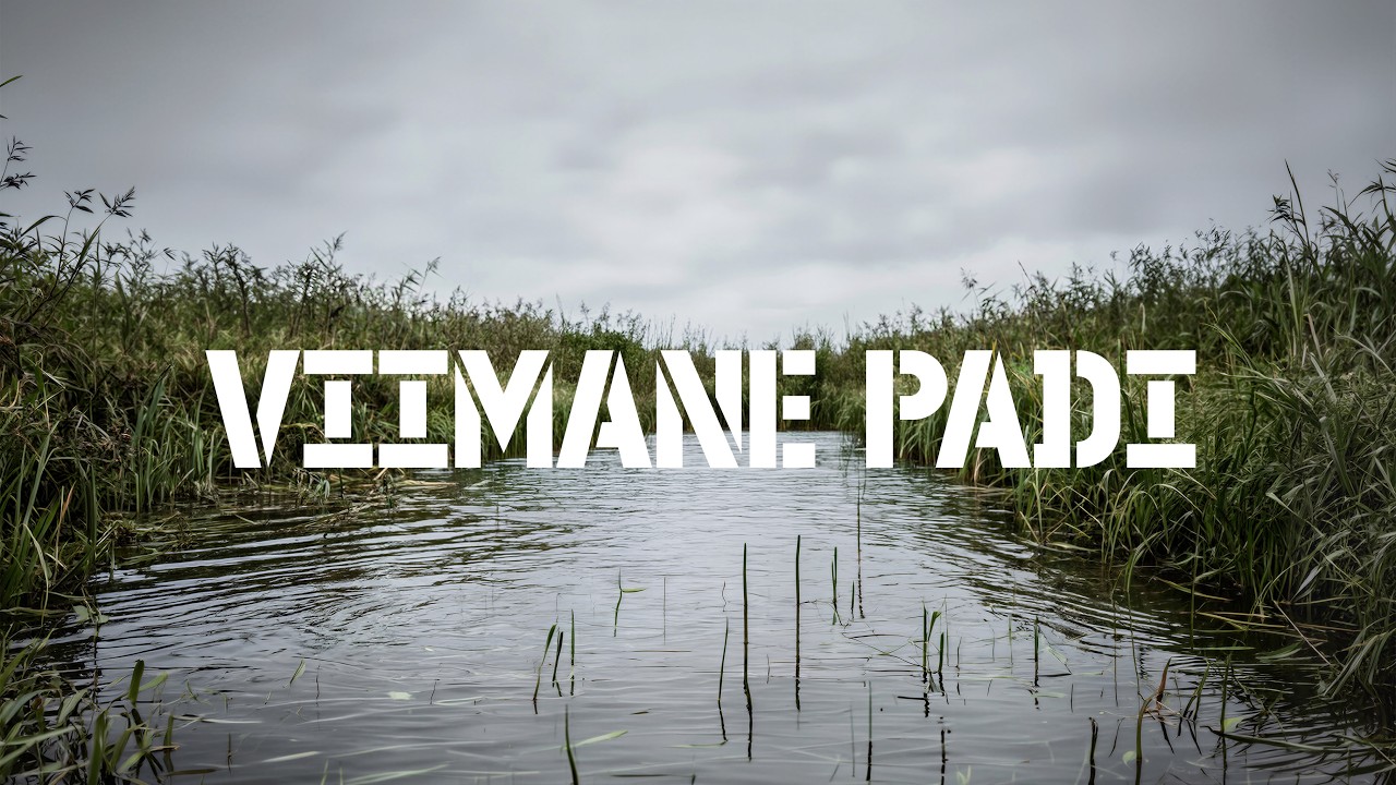 Miks Mina - Viimane Padi