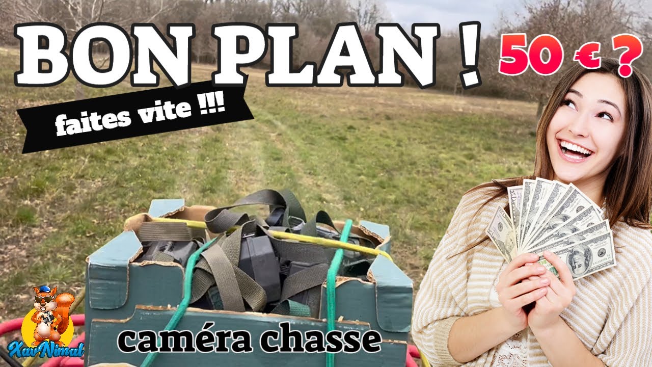 CAM&eacute;RA CHASSE PAS CH&egrave;RE 👀 Vid&eacute;os faune sauvage par #coolife