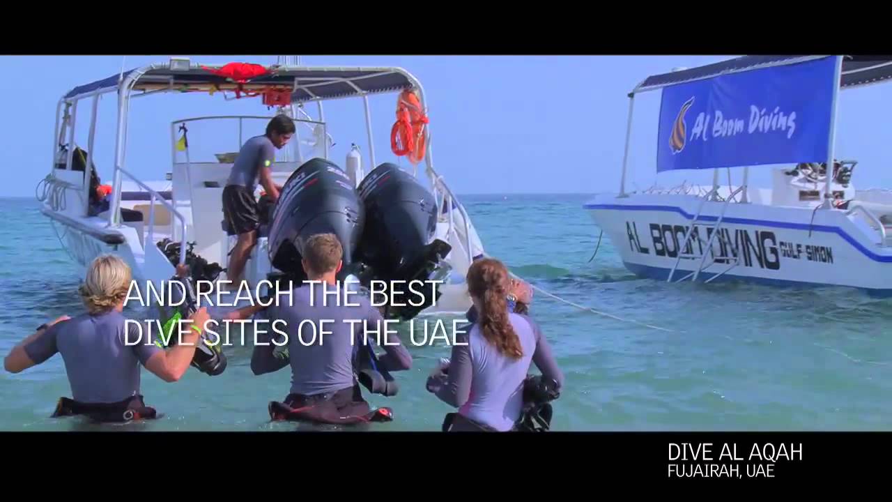 Al Boom Diving - Al Aqah - Fujairah - UAE East Coast