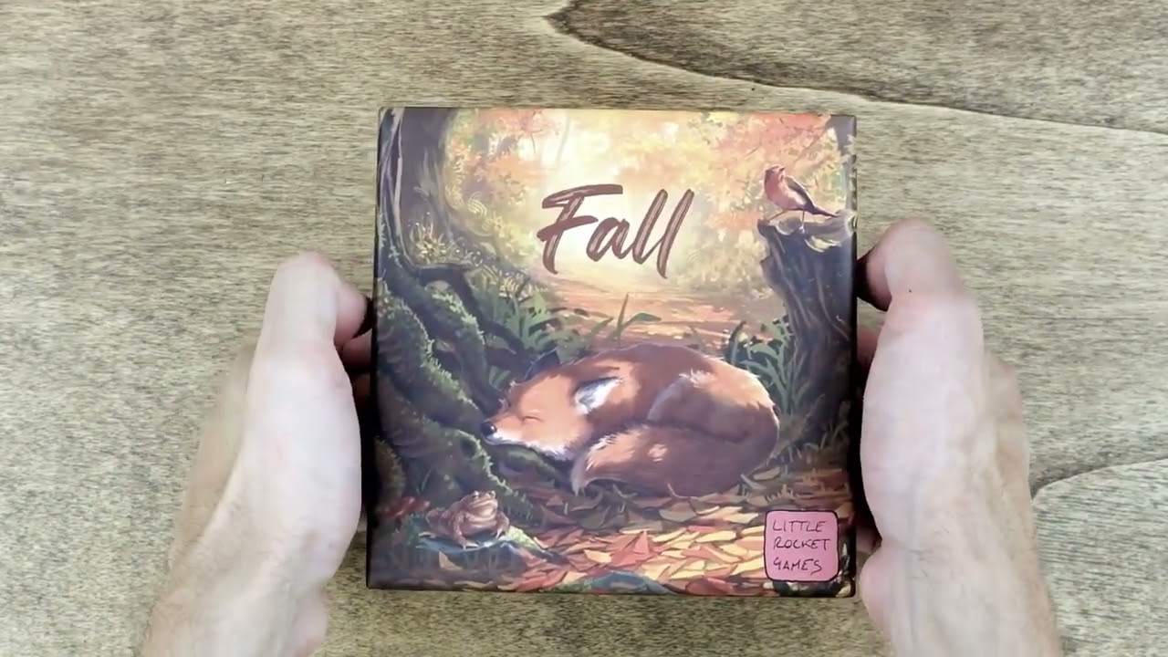 Vertical Storage Test Fall Board Game Insert Organizer - The Dicetroyers