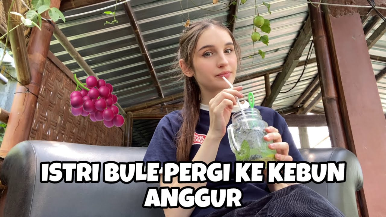 ISTRI BULE PERGI KE KEBUN ANGGUR