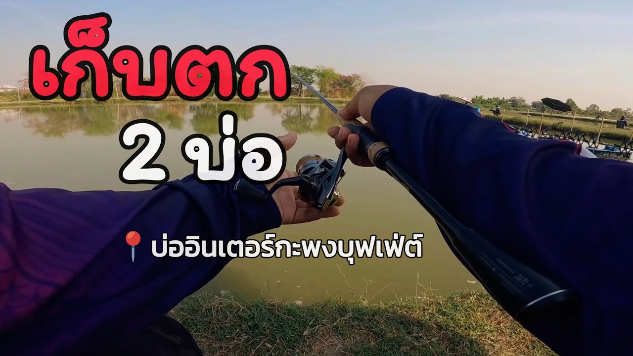 จะรอดมั้ย...? เก็บตกครั้งแรกที่บ่ออินเตอร์กะพงบุฟเฟ่ต์ |05/02/2026