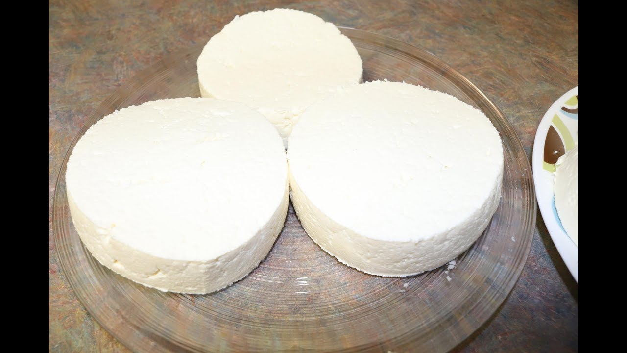 QUESO FRESCO DE LECHE DE VACA PARA NEGOCIO