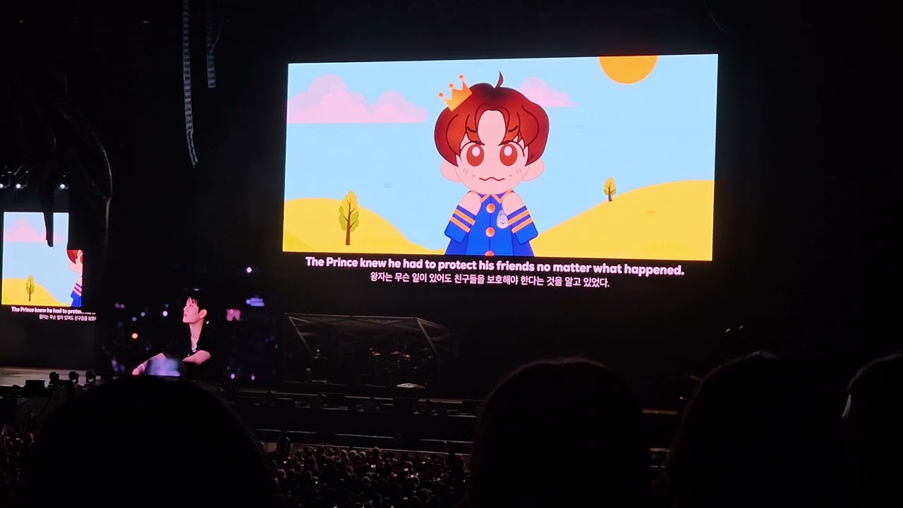 Stray Kids DominATE Tour Sydney - Fan Project - Video from Stays