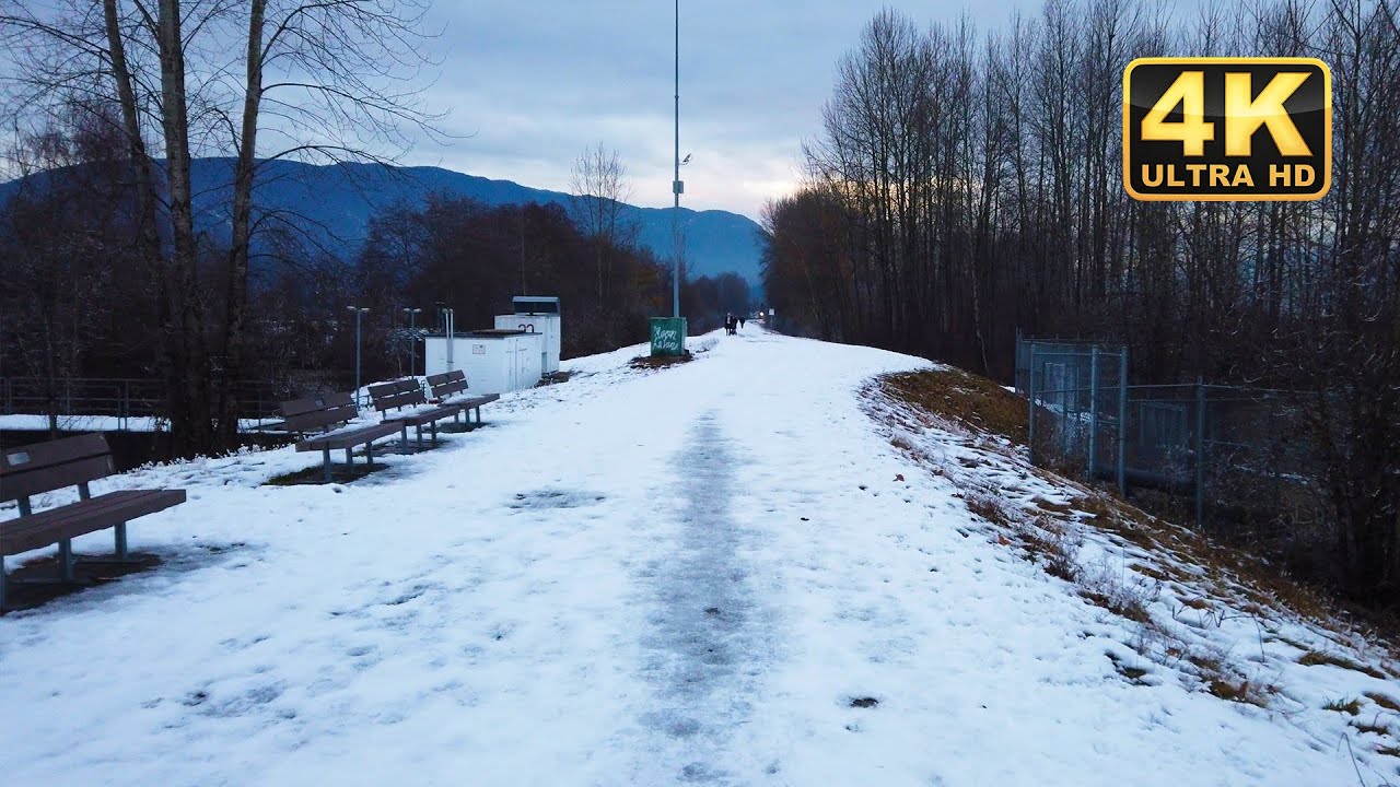 Discover the Magic of Winter on a Virtual Tour of a Snowy Neighborhood