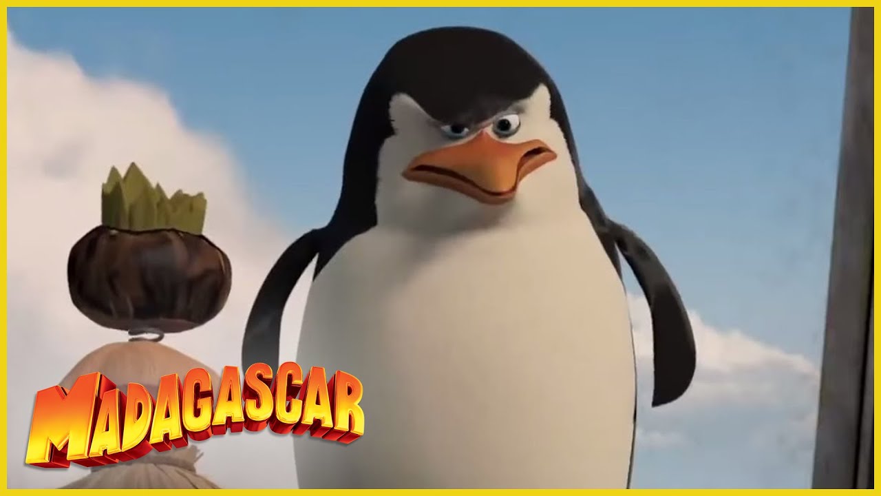 DreamWorks Madagascar en Español Latino | Los Pinguinos de Madagascar: Escenas Graciosas
