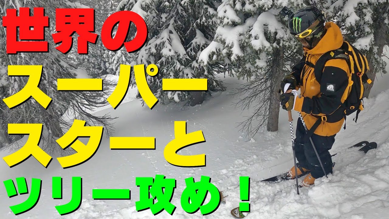 サミーカールソンとツリーランを攻めに行ったらやっぱりハンパなかった