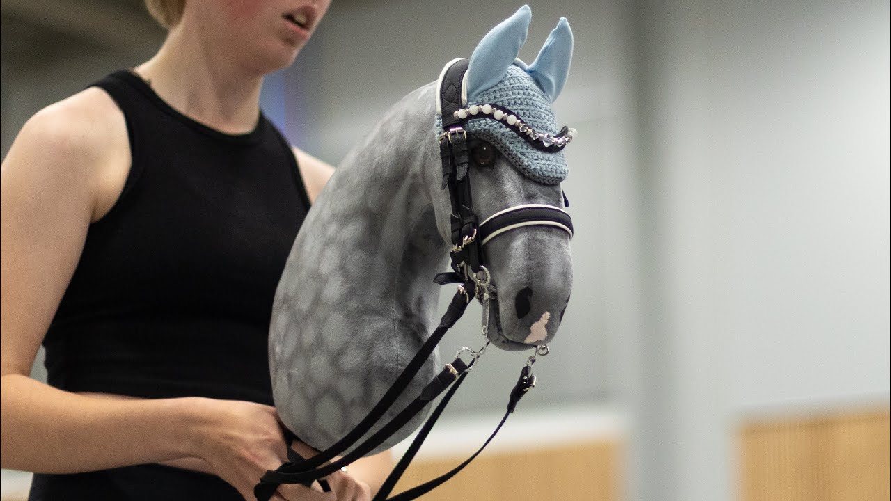 грандиозное соревнование по хоббихорсингу.