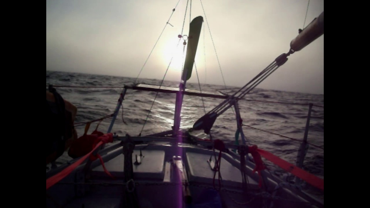 Achilles 24 NIAMH