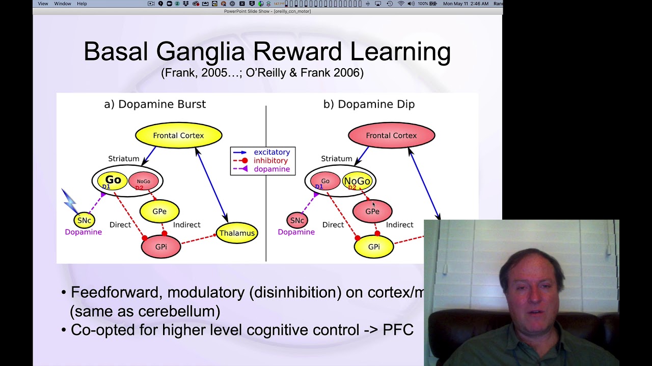CCN Course 2020, Motor 7: Dopamine modulation of Basal Ganglia