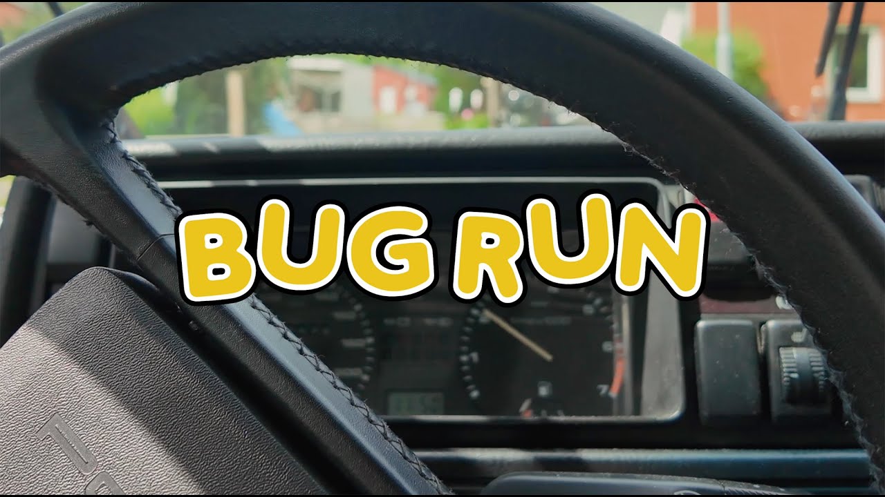 Bug Run 2025 - nästan alla bilar utställningsdagen