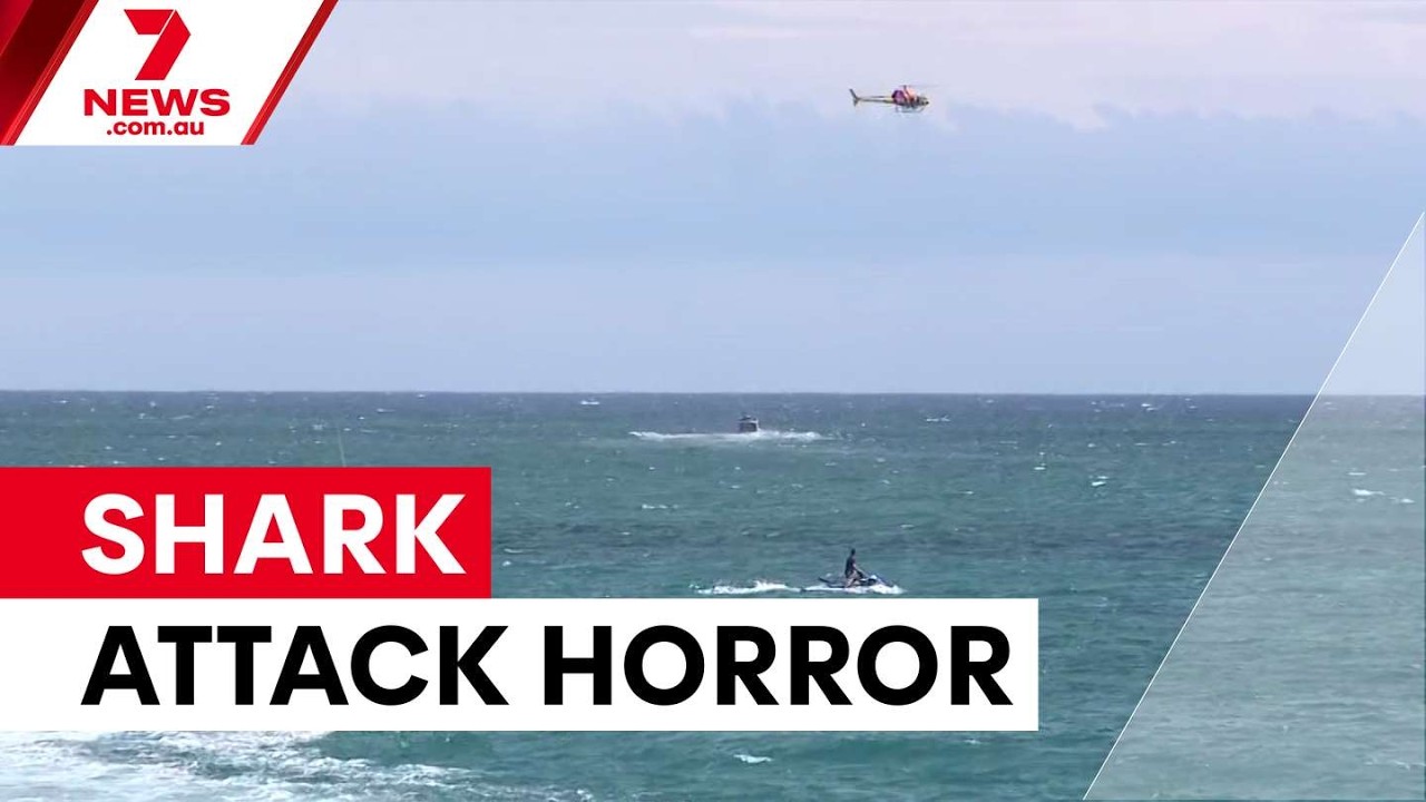 Смертельное нападение акулы на пляже в Перте | 7NEWS