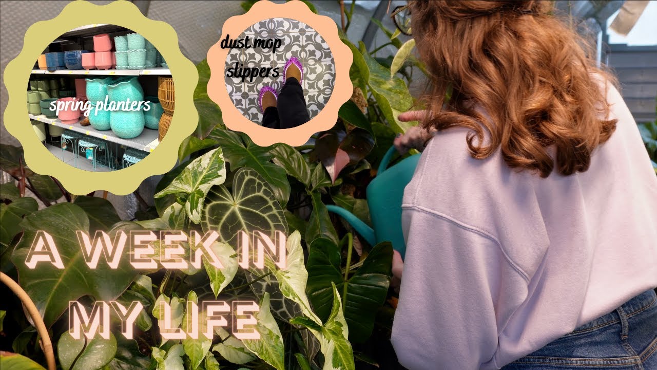 A Week In My Life: Plant Care, Spring Planters, Filming Videos, Marketplace finds & a door ding :(