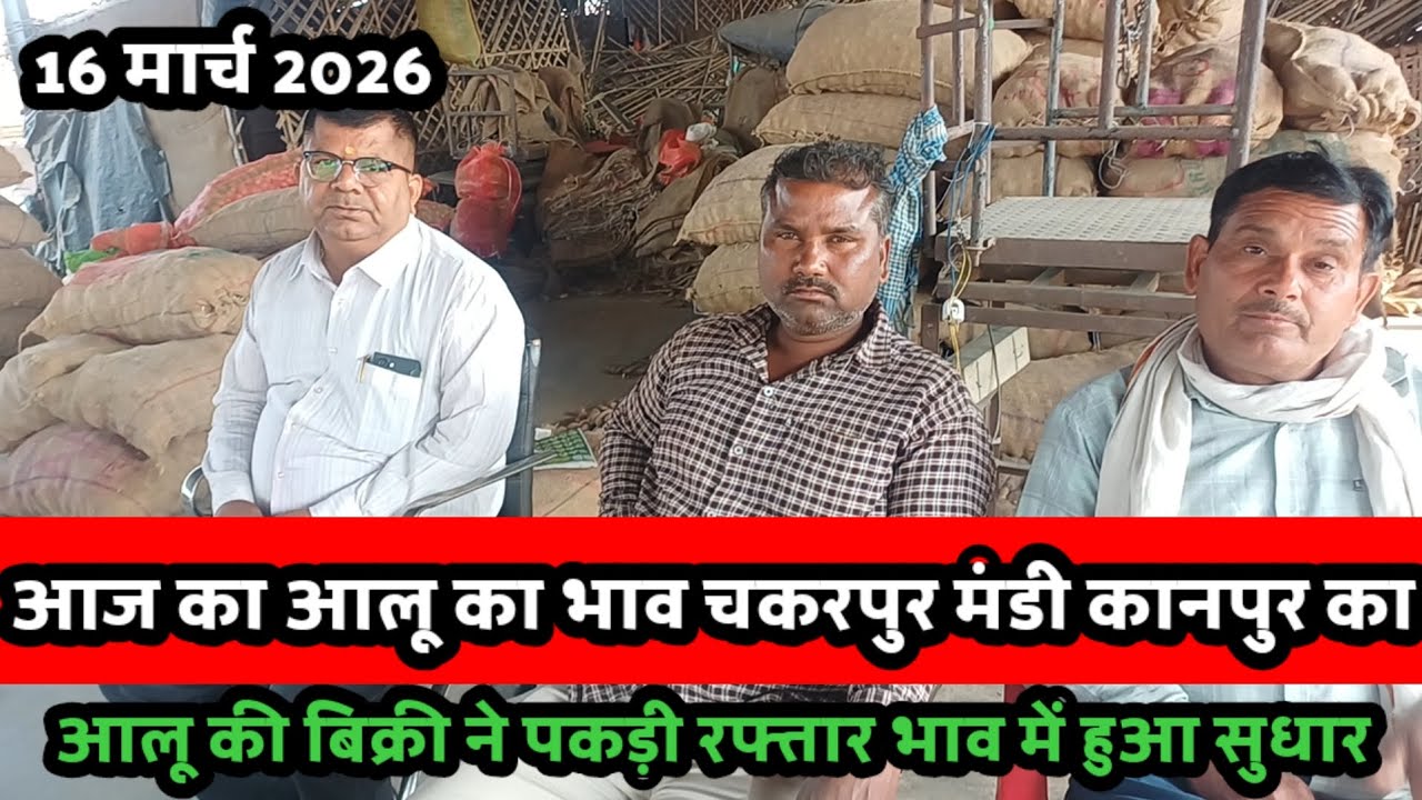 आज का आलू का भाव चकरपुर मंडी कानपुर का 16 मार्च 2026 