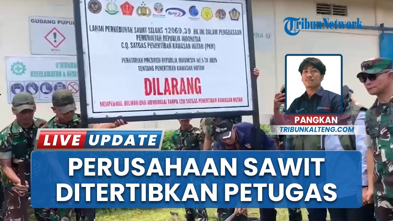 Banyak Kebun Sawit Ilegal di Kalteng, Beberapa Ditertibkan Satgas Garuda & PKH di Wilayah Kotim