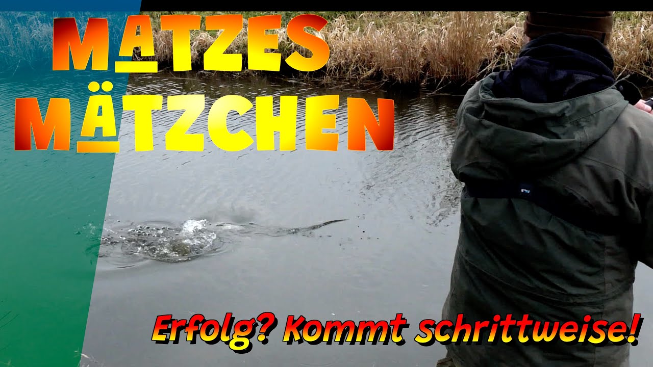 Matzes Mätzchen - Erfolg? Immer schrittweise!