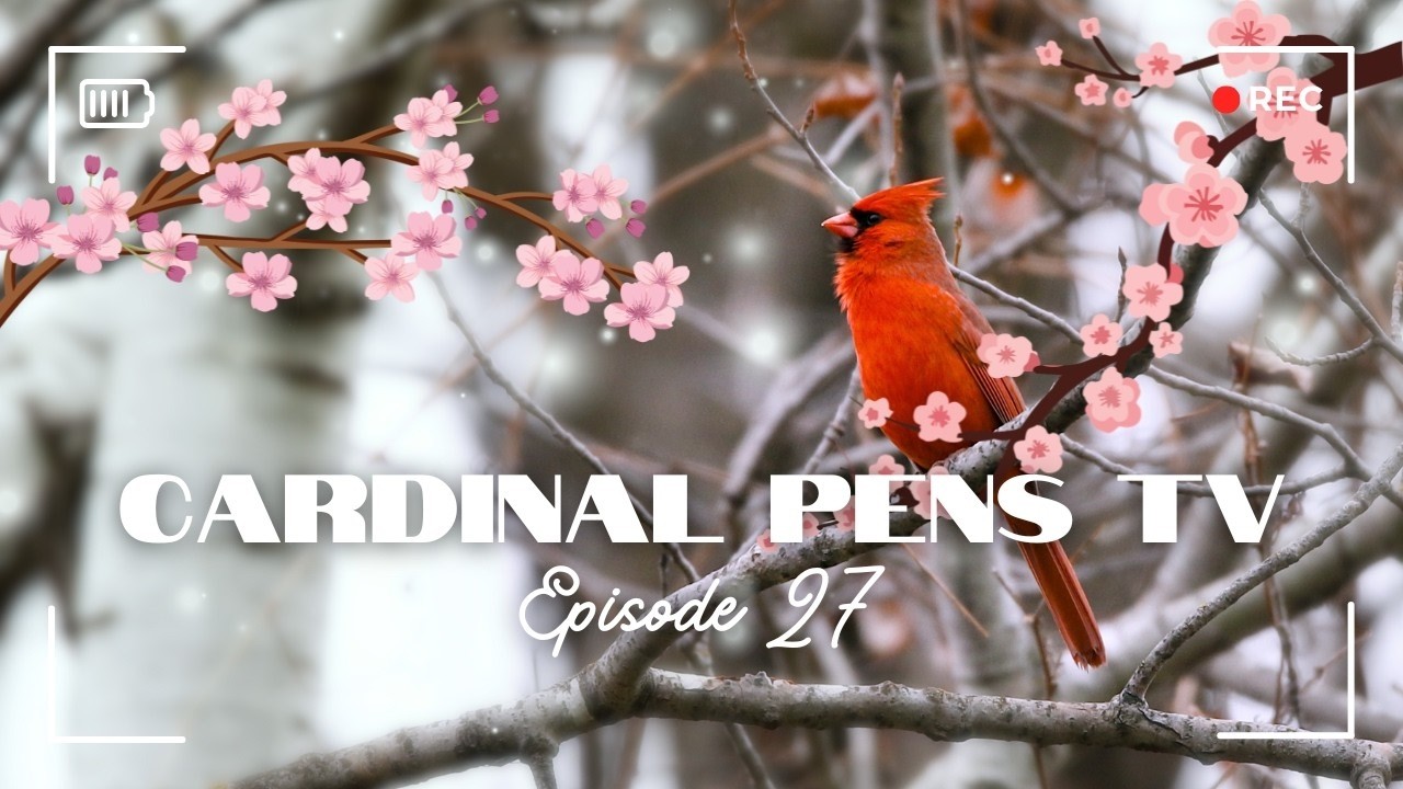Cardinal Pens TV Episode 27 - Wave Hello to Taccia!