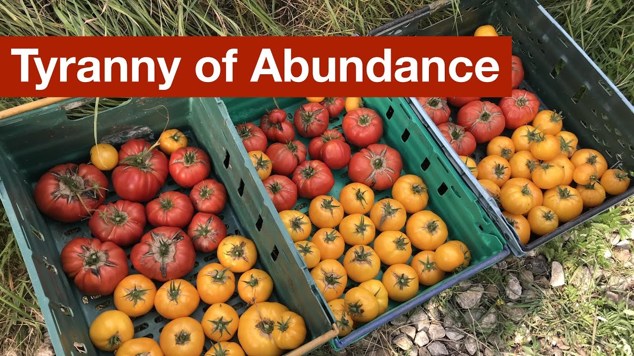 The Tyranny of Abundance
