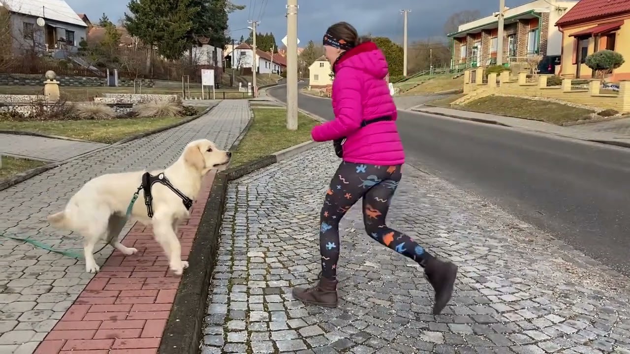 Automatické zastavení na kraji chodníku - neviditelné bariéry.