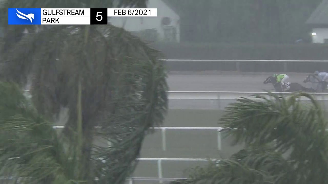 Gulfstream Park Replay Show | February 6, 2021