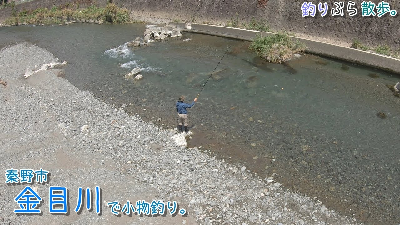 面白い釣り方を試します♪  秦野市 金目川で小物釣り。
