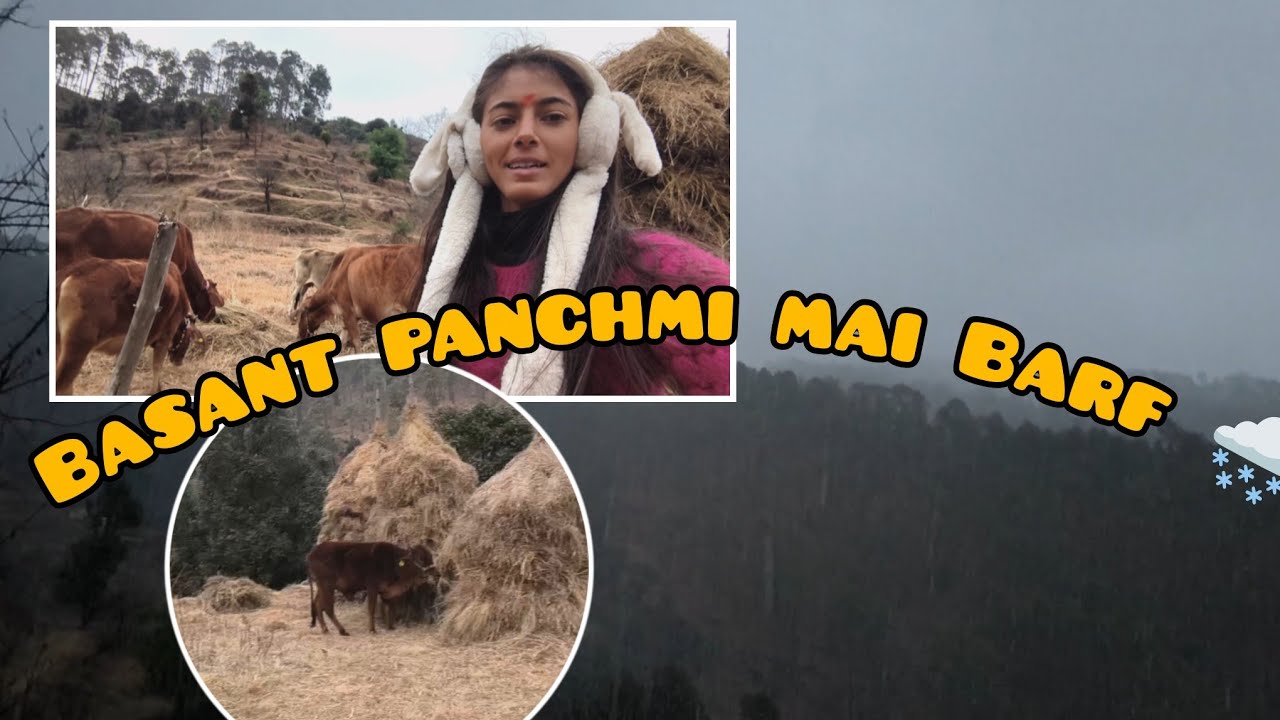 Krishna, Dammu ka secret plan 😯? Shaam hote hote snowfall 🌨️ || 